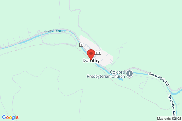 Dorothys Night Moves