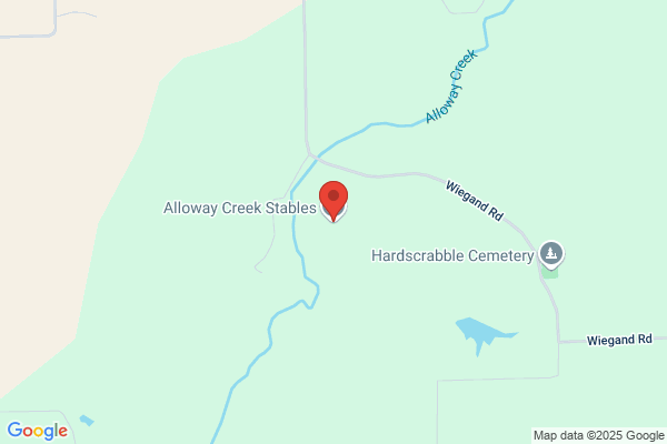 Alloway Creek Stables