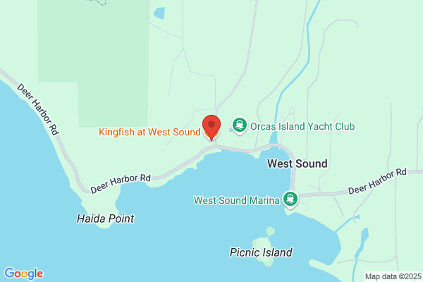 King Fish At West Sound