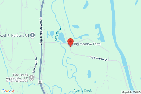 Big Meadow Farm