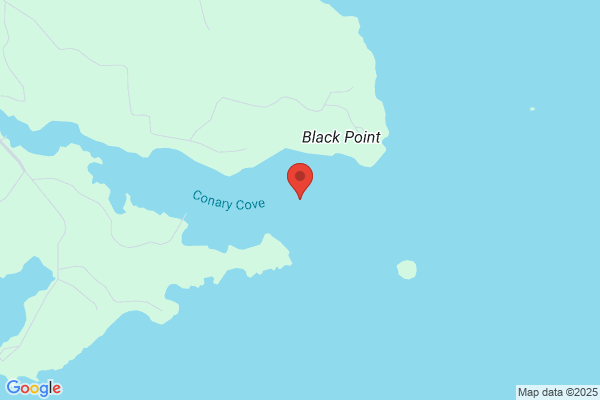 Conary Cove Lobster Co
