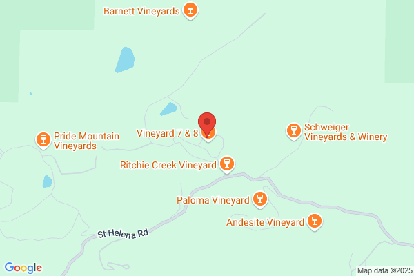 Vineyard 29 Llc