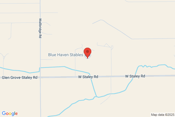 Blue Haven Stables