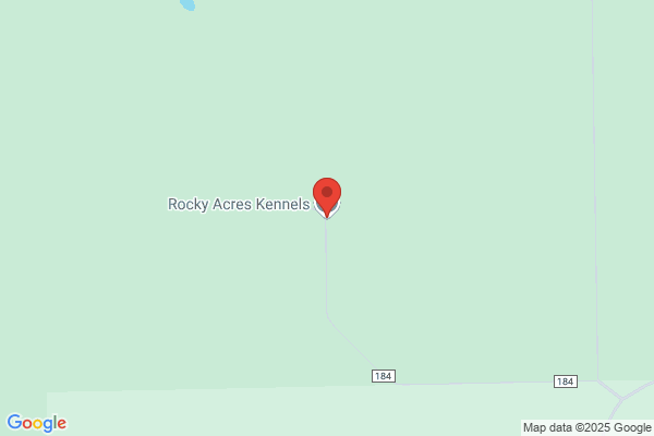 Lindas Kennels