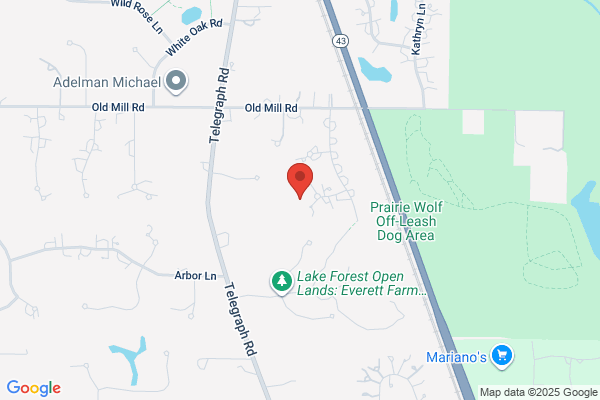 America Metal Fibers Inc