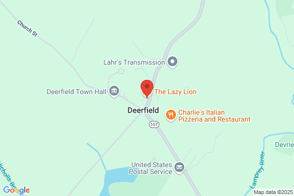 Lazy Lion Cafe
