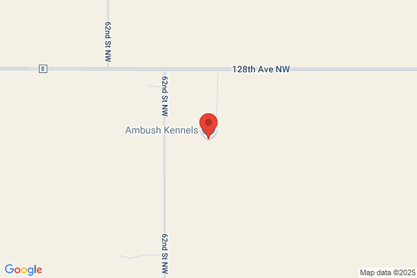 Ambush Kennels