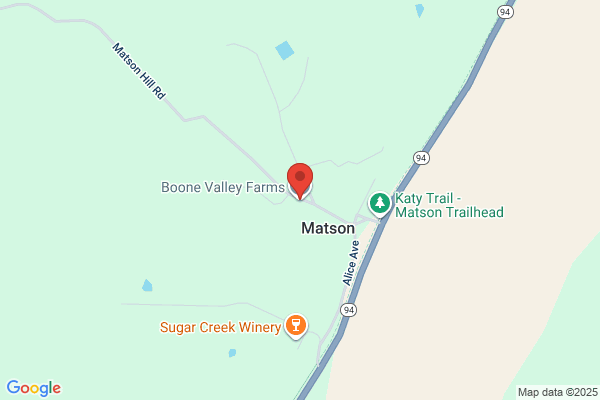 Boone Creek Grooming