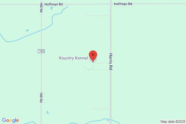 Kristi's Kanine Kuts
