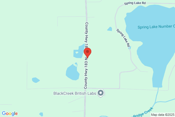 Strickland-Davis Christmas Tree Farm