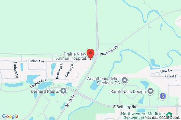 Praire View Animal Hospital