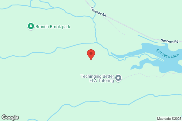 Lighthouse Chimney Sweeps