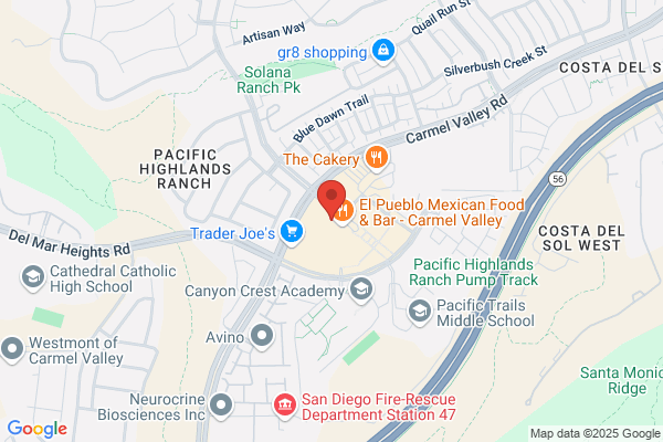 Papaya Veterinary Care - Carmel Valley