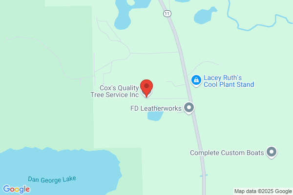 COX'S QUALITY TREE SERVICE INC