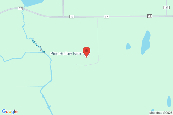 Pine Meadow Farm Inc