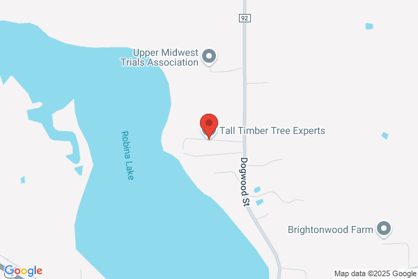 Tall Timber Tree Experts LLC