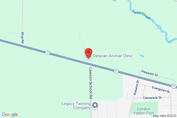 Delavan Animal Clinic Inc