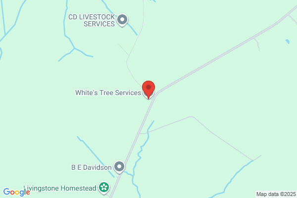 White's Tree Service & Constr