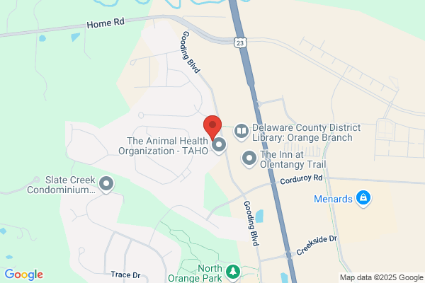 Kiddie Academy of Lewis Center - PERMANENTLY CLOSED