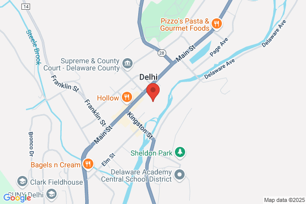 Delhi Telephone Company