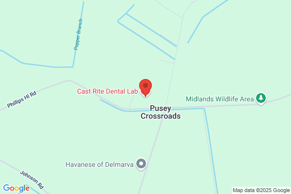 Cast Rite Dental Lab