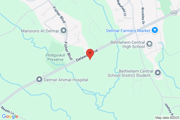Delmar Auto Body