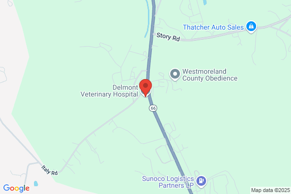 Delmont Veterinary Hospital