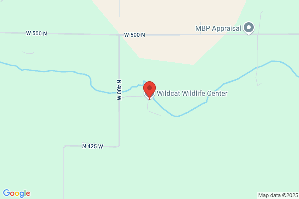 Wildcat Wildlife Center Inc