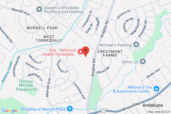 Anolik Mitchell MD