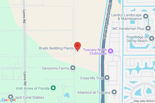 Starkey Road Nursery Llc