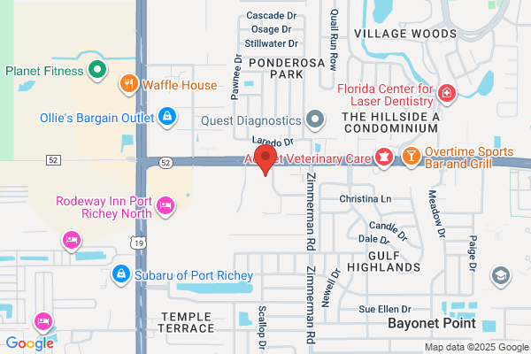 Luxury Florida Realty Inc