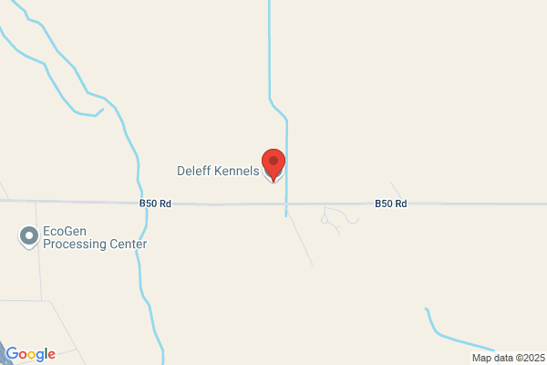 Deleff Kennels