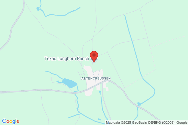 Allen Cattle Company