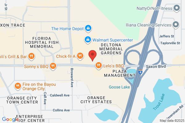 Deltona Seashells FL