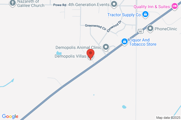 Willows of Demopolis