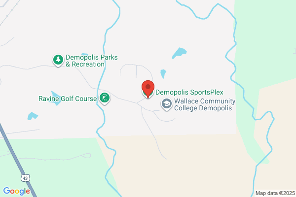 Demopolis Adult Field