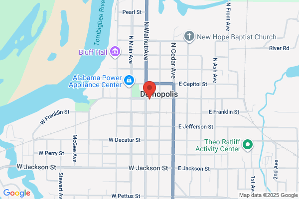 Demopolis City Schools Foundation Inc the