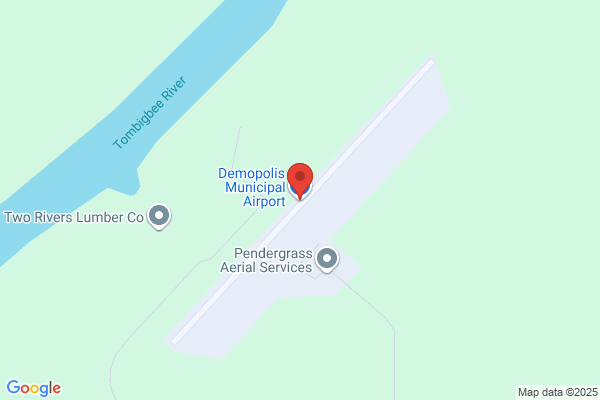 Demopolis City of, Airport
