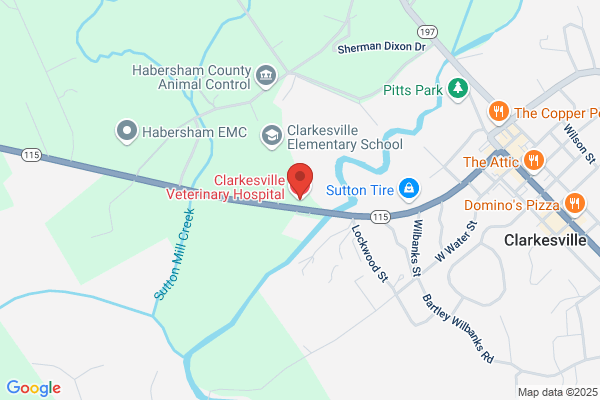 Clarkesville Veterinary Hospital