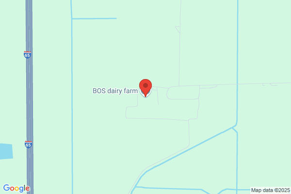 Bos Dairy Llc