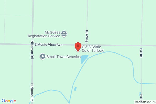 G & S Cattle Co of Turlock