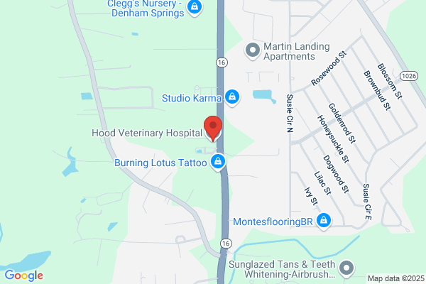 Hood Veterinary Hospital