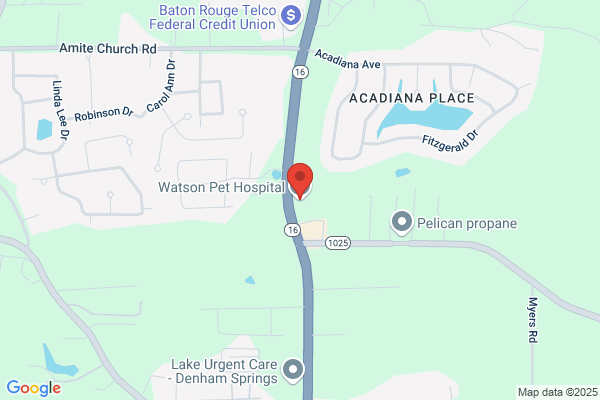 Watson Pet Hospital