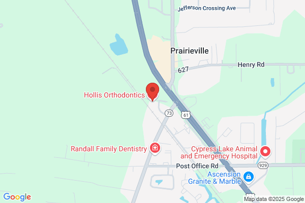Bryan J Hollis DDS