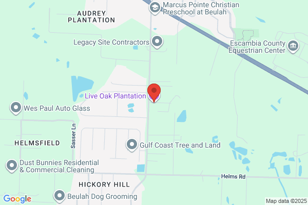 Live Oak Plantation
