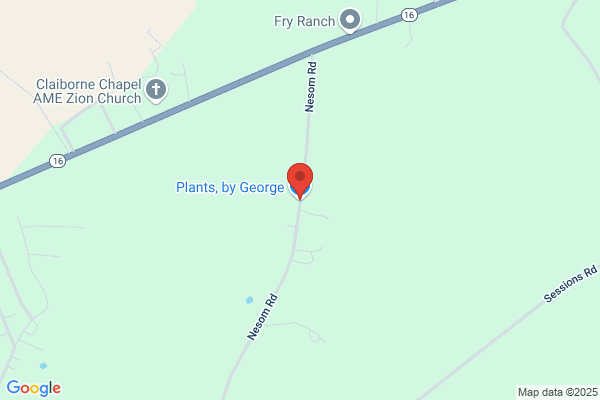 Plants, by George