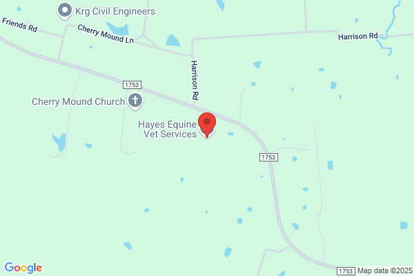 Hayes Equine Veterinary