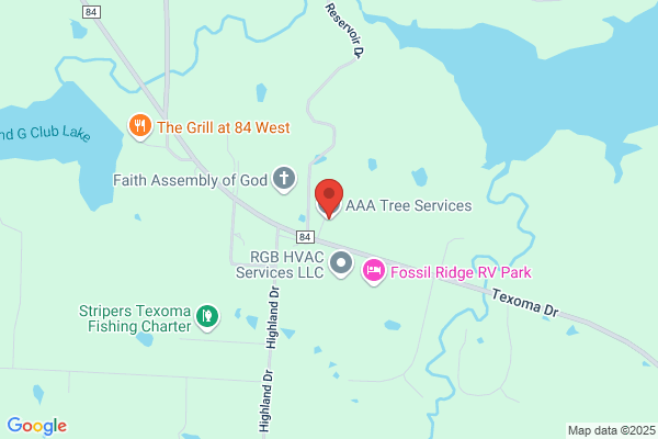 Allan Mainus Tree Service