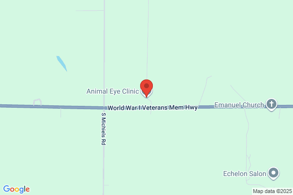 Animal Eye Clinic