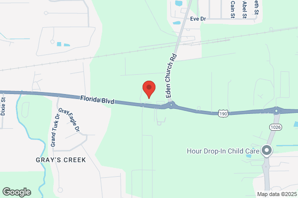 Denham Springs Animal Hospital Inc